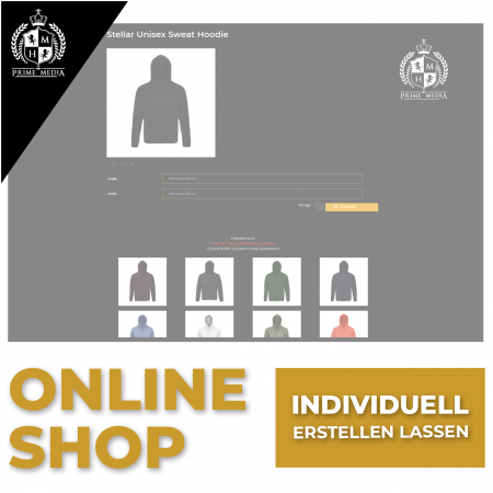 Online Shop individuell erstellen lassen